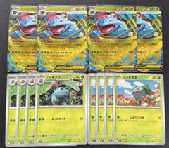 メガフシギバナex 進化ライン　12枚セット