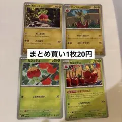 ポケモンカード カジッチュ カミッチュ アップリューセット