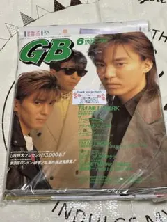 音楽雑誌 GB 1989年6月・3月　2冊セット