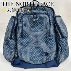 ✨未使用級✨THE NORTH FACE Sunny Camper 40＋6
