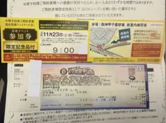 ２０２４年 阪神タイガースファン感謝デー&限定イベント参加チケット 阪神タイガースファン感謝デー2024 ハイタッチ会 チケット