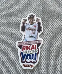 Item thumbnail for item e4627d56-11f3-437f-afc8-99a594707366