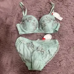 新品未使用 Triumph トリンプ アモスタイル ブラショーツ