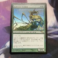 minoru様 リクエスト 3点 まとめ商品