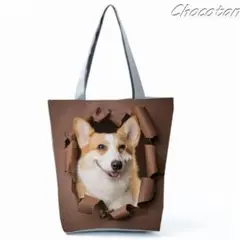 Item thumbnail for item 2317f911-5281-445c-9da3-243ebd8a2f27