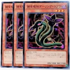 MACR-JP010 捕食植物ダーリング・コブラ✕３枚セット ①