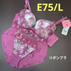 ❤️ワコール❤️ルジェ 28G Ｐ−ＵＰブラC75 ショーツMセット ワコール ルジェ ブラショーツセット F75 - メルカリ