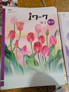 iワーク 中1 数学