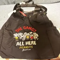 【新品未使用品】 スヌーピーナイロン刺繍巾着バッグ
