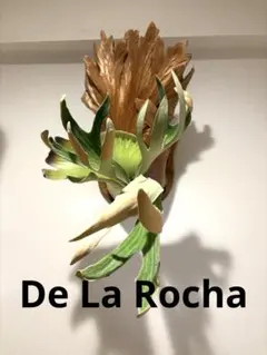 板付けビカクシダ2種セット　OMG、デラロッチャ ビカクシダ『マウントキッチャクード』 板付け | Planet Plants