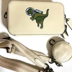 2025年最新】coach レキシー カードケースの人気アイテム - メルカリ