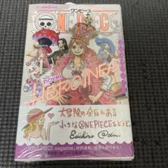 初版】 ONE PIECE novel HEROINES シュリンク未開封 - メルカリ