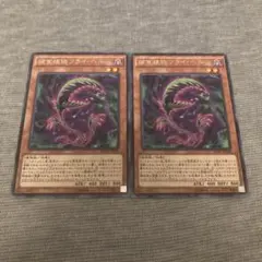 遊戯王 捕食植物フライ・ヘル INOV 2枚セット