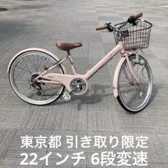 子供用自転車 ミヤタV sign Jr. 22 屋根付き車庫保管のサムネイル