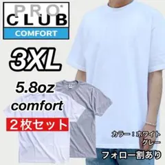 新品未使用 プロクラブ コンフォート 無地 半袖Tシャツ 白/グレー2枚 3XL