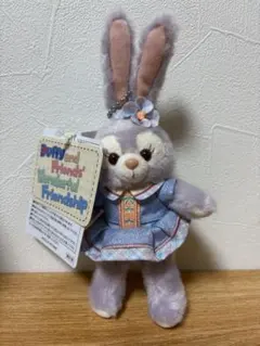 ワンダフルフレンドシップ　ぬいぐるみバッジ　ステラルー　ぬいば　ディズニー