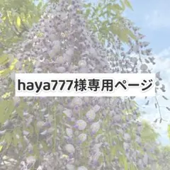 haya777様専用ページ｜Rojita　花レース　プリーツ　イエロー　ブラウス