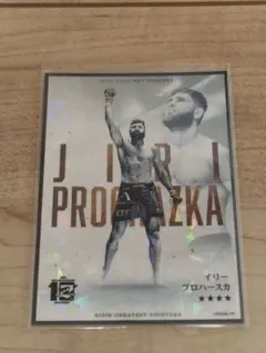 lz___様 リクエスト 2点 まとめ商品