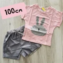 Item thumbnail for item 1c2a4274-bf63-4287-a2ae-84a47e30b2a8