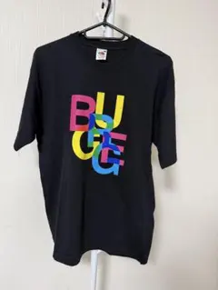 Fruit of the Loom ロゴTシャツ ブラック 半袖 メンズM相当のサムネイル