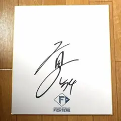 北海道日本ハムファイターズ 有原航平選手 直筆サイン色紙