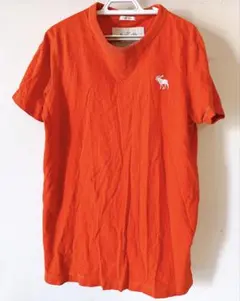 Abercrombie & Fitch オレンジ Tシャツ S 訳あり