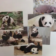 Item thumbnail for item 3e479d49-ad5e-473d-8e9e-b999f3610235