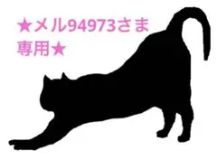 ★メル94973さま専用★