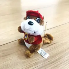新品未使用　バッキーズ　Bucee’s　キーホルダー　チャーム　ビーバー