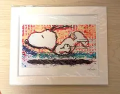 2025年最新】トム・エバハートの人気アイテム - メルカリ