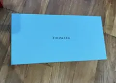 Tiffany & Co. ギフトボックス ライトブルー箱のみ