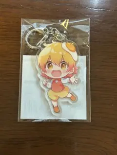 P丸様。アクリルキーホルダー 2025年最新】p丸様 アクキーの人気アイテム - メルカリ