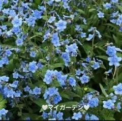 hi&yossy様 リクエスト 2点 まとめ商品