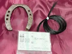 ファインモーション アクスタ、馬券、フィギュア セット