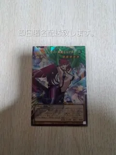 遊戯王 ハーピィ・レディ オーバーフレーム