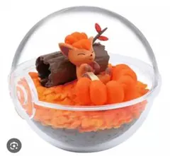 ポケモン テラリウムコレクション　ロコン　木の葉の絨毯　季節のテラリウム