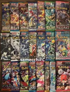 ポケモンカード バラパック　バラエティパック　未開封22種