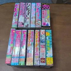 レディースコミックまとめ売り13冊セット