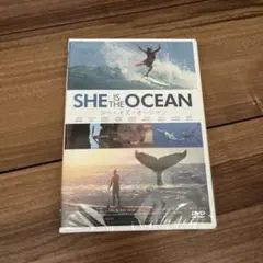 DVD シーイズオーシャン　サーフィン 新品