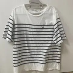 レディース　ラコステ　ボーダーTシャツのサムネイル