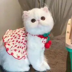 Item thumbnail for item 13533832-e71e-49f1-b7bf-0b5abbc49366