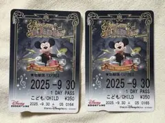 BBB フリーパス　未使用　2枚