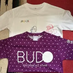 桑田佳祐 がらくた サザンオールスターズ おいしい葡萄の旅Tシャツ 2枚セット
