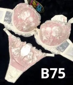 B75 豪華　エレガンスフラワー　Tバック　ブラショーツセット 綺麗　セクシー