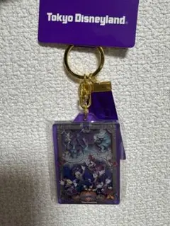 2024年ハロウィン　ディズニーヴィランズキーホルダー