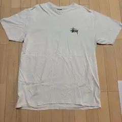 Stussy スクリプトロゴ Tシャツ アイスブルー