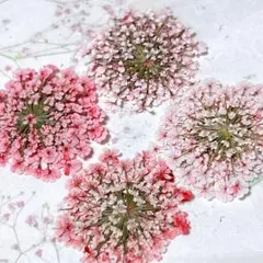 Jang様 リクエスト 10点 まとめ商品