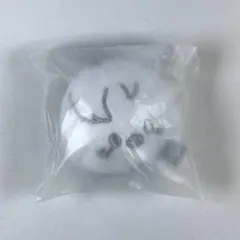 スキズ celebrATE ソウルコン フェイスキーリング フィリックス ③