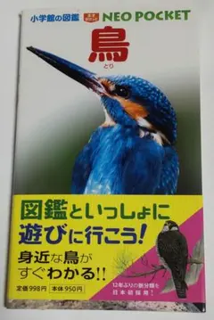 鳥 小学館の図鑑 NEOポケット 初版・帯付