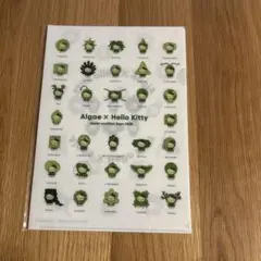 Algae × Hello Kitty A4クリアファイル